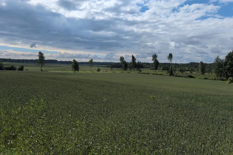Maatulundusmaa, 30281 m² участок в Tartu vald, Kobratu küla