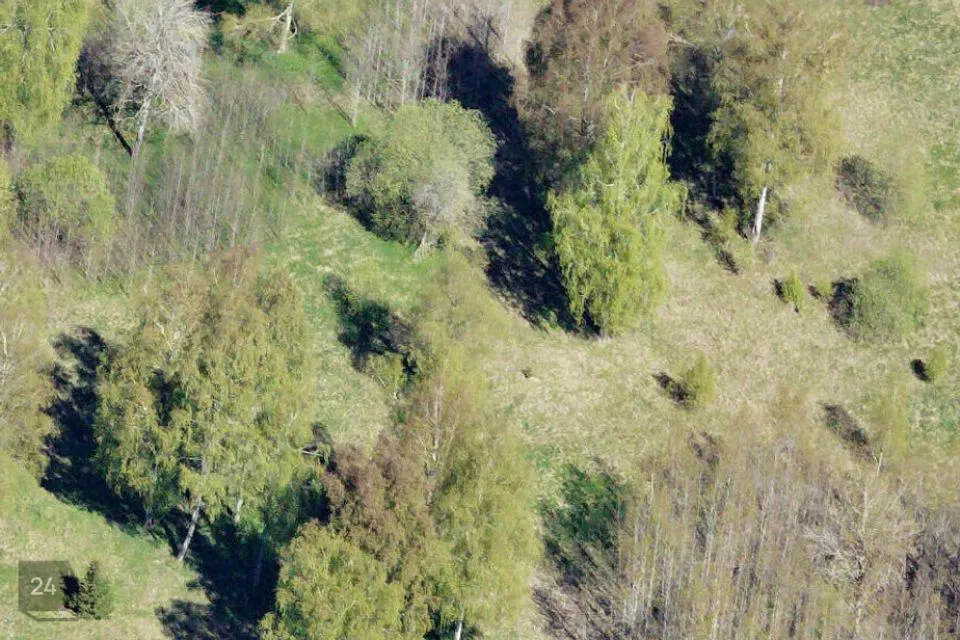 Maatulundusmaa, 58470 m² Maa  -  Jõgeva vald, Vaimastvere küla - foto 4