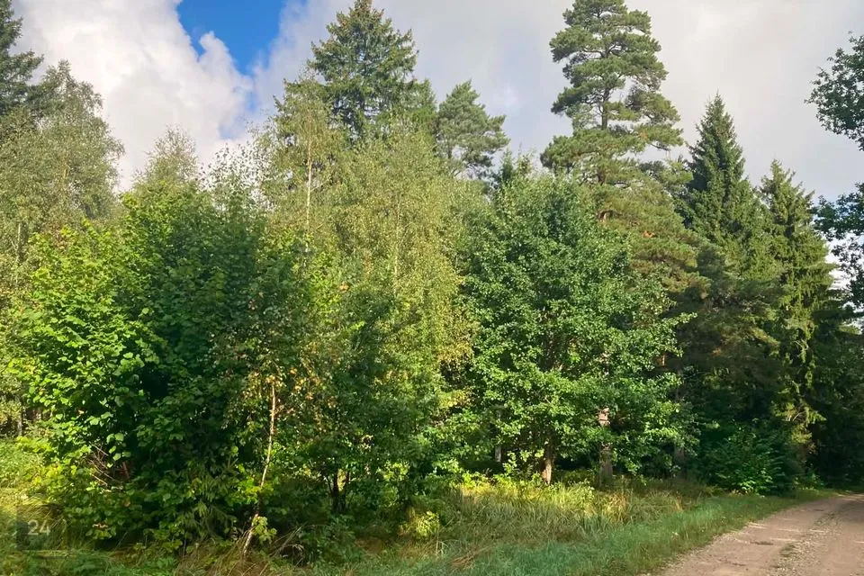 Maatulundusmaa, 29924 m² участок в Saaremaa vald, Pöitse küla - фото 3
