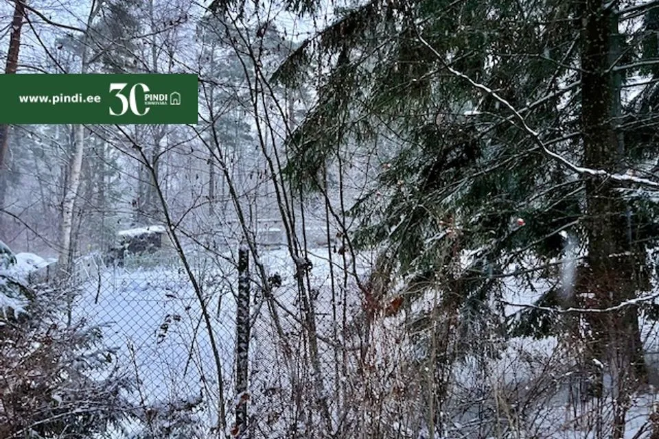 Elamumaa, 4715 m² Maa  -  Narva-Jõesuu linn, Narva-Jõesuu linn - foto 3