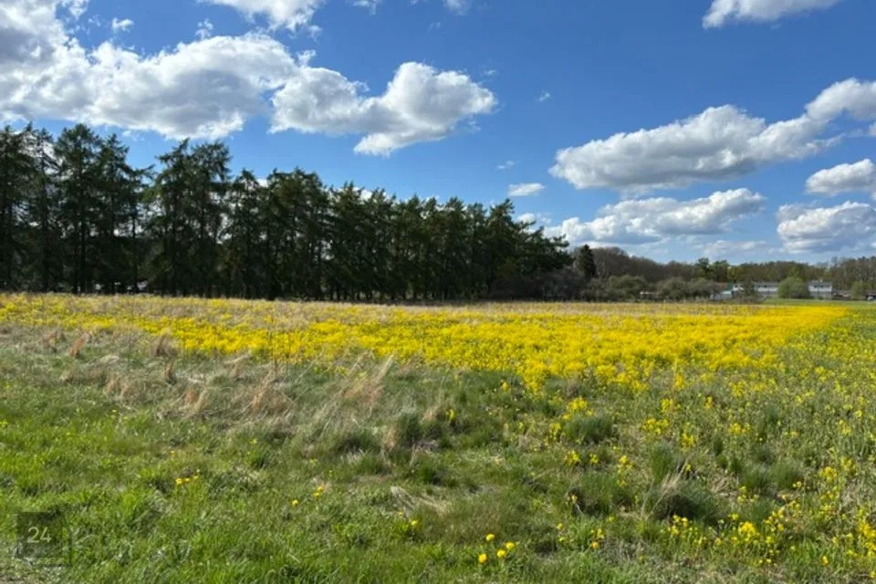 Земля жилой застройки, 10000 m² участок в Raasiku vald, Igavere küla - фото 3