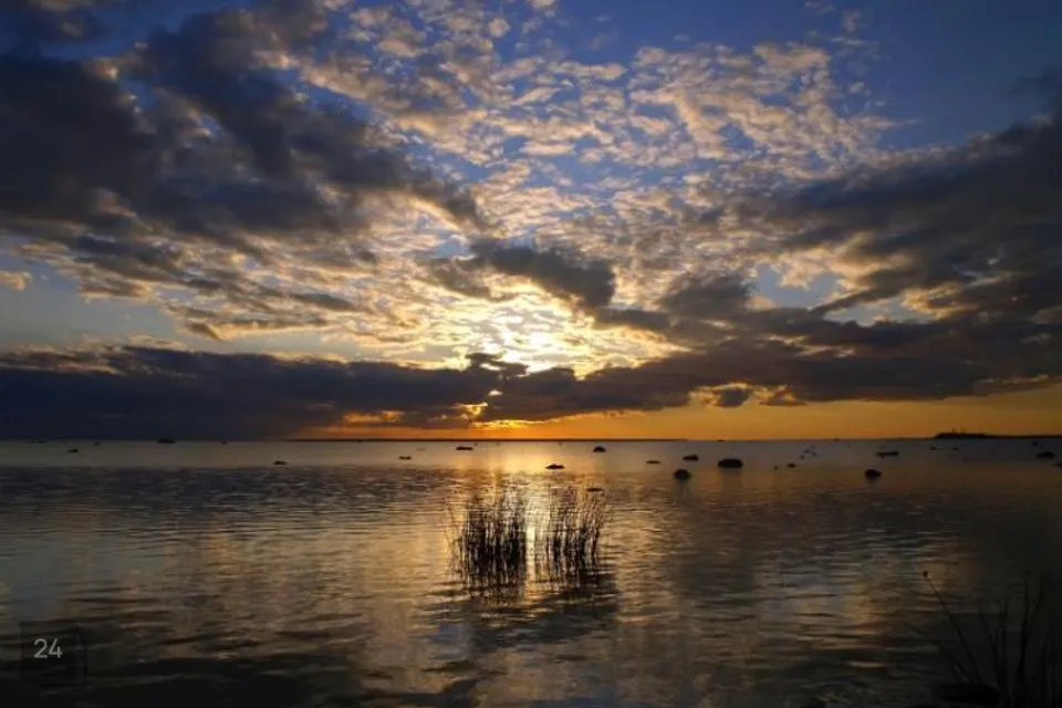 6053 m² Maa - Lääne-Nigula vald, Hara küla / Harga