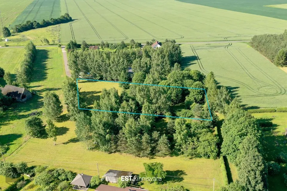 Elamumaa, 3410 m² Maa  -  Kastre vald, Mõra küla - foto 2