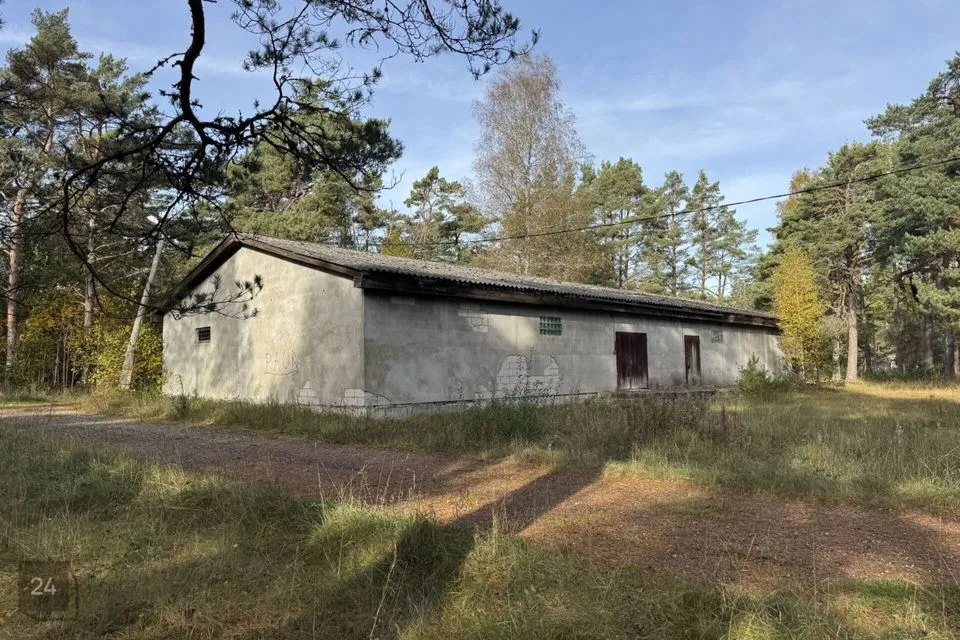 Mitme sihtotstarbega, 320 m² Äripind  -  Saaremaa vald, Kärla alevik - foto 3