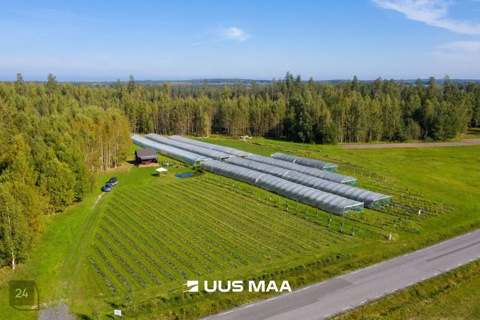 Maatulundusmaa, 12798 m² участок в Võru vald, Kärgula küla - фото 3