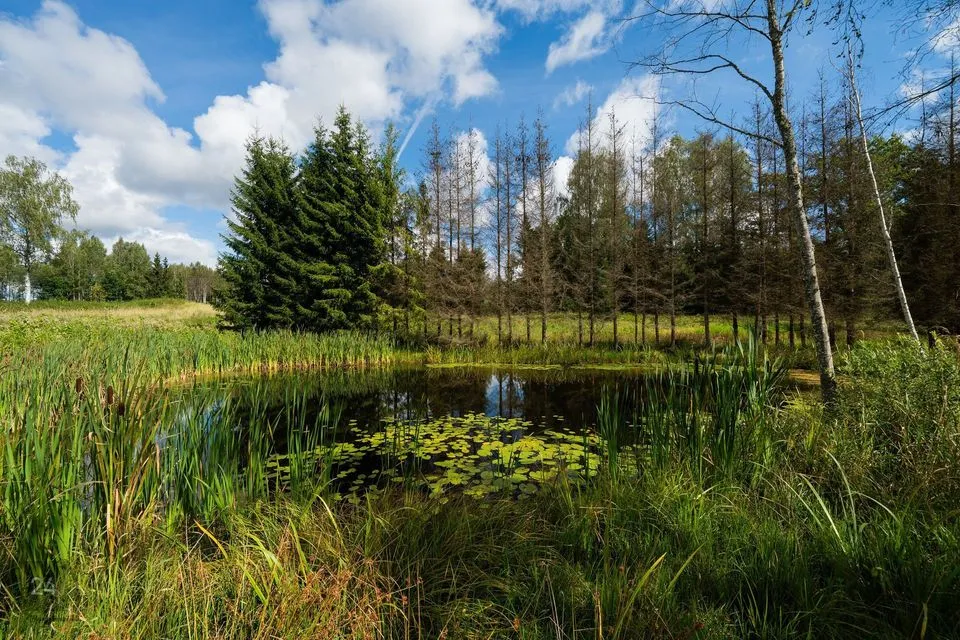 Elamumaa, 8506 m² Maa  -  Võru vald, Mäekülä - foto 2