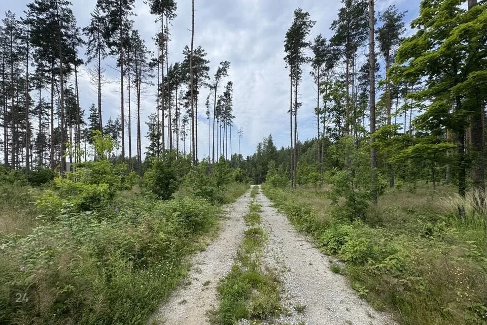 Elamumaa, 3544 m² Maa - Alutaguse vald, Katase küla - foto 3
