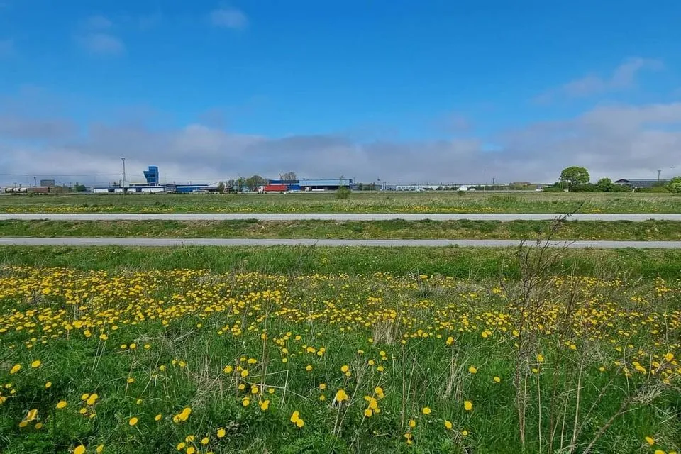 12145 m² участок в Jõelähtme vald, Liivamäe küla - фото 3