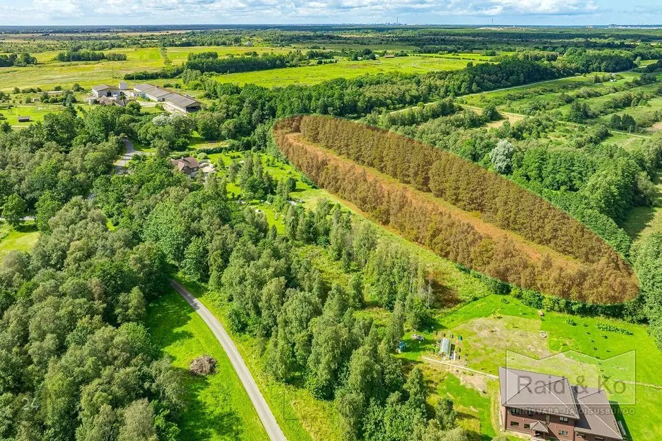 Maatulundusmaa, 11179 m² участок в Jõelähtme vald, Manniva küla