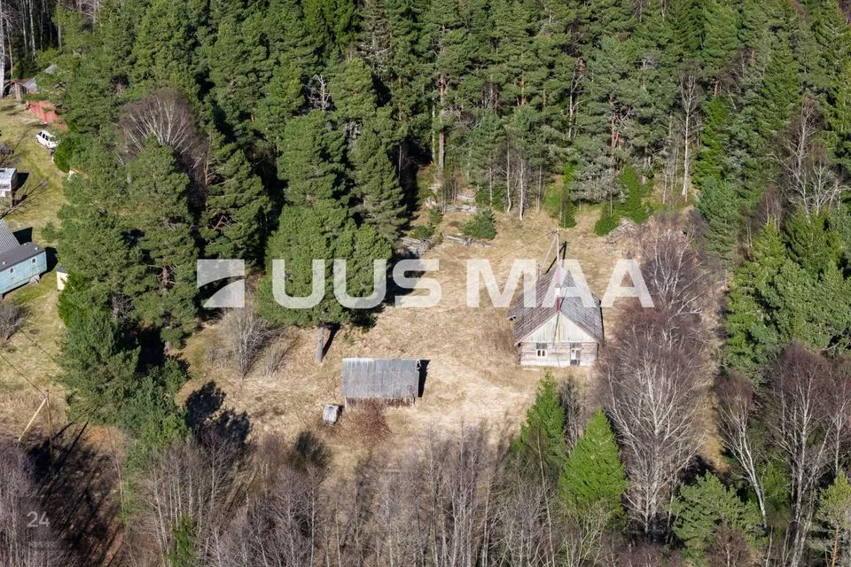 Maatulundusmaa, 87600 m² Maa  -  Lääne-Nigula vald, Tuksi küla / Bergsby - foto 3