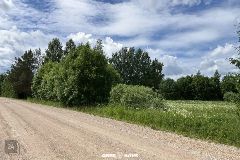 Maatulundusmaa, 48925 m² Maa  -  Kanepi vald, Tuulemäe küla - foto 3