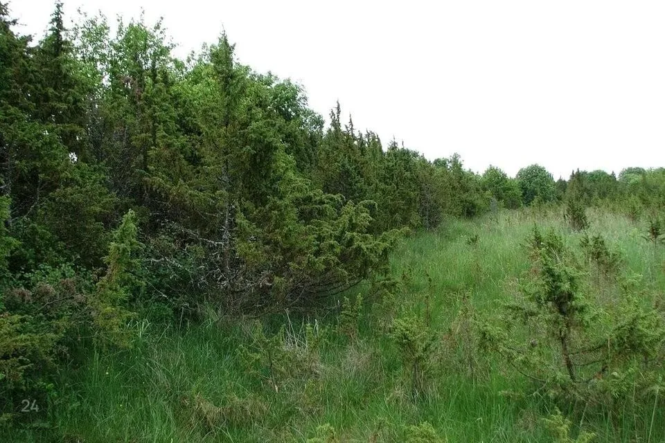 Elamumaa, 13964 m² Maa - Hiiumaa vald, Orjaku küla - foto 4