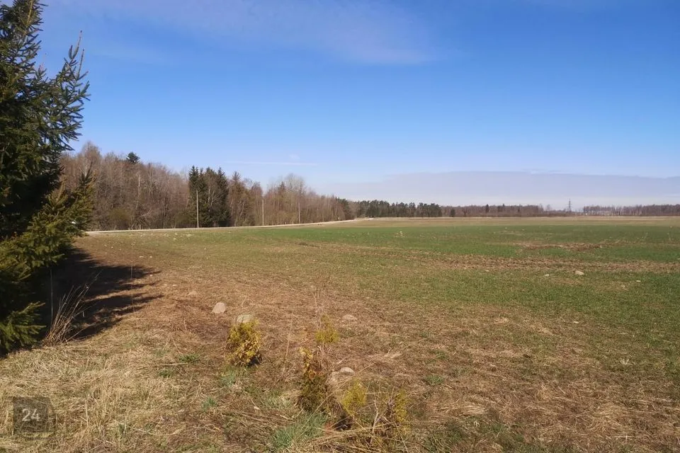 Maatulundusmaa, 13694 m² Maa  -  Saku vald, Rahula küla - foto 4