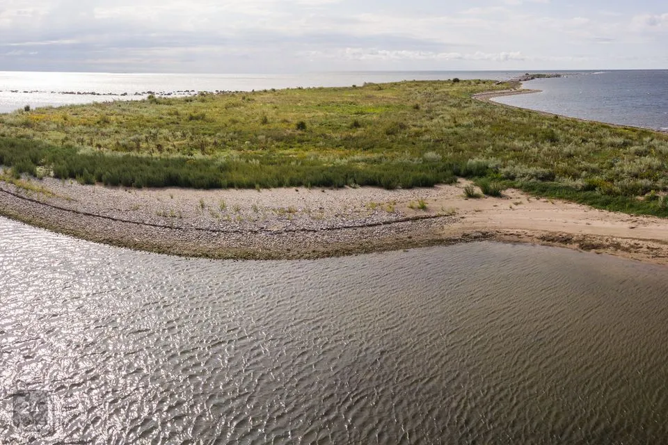 Maatulundusmaa, 48000 m² Maa  -  Saaremaa vald, Abruka küla - foto 3