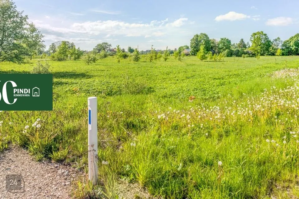 Maatulundusmaa, 21532 m² Maa  -  Kohtla-Järve linn, Ahtme linnaosa - foto 3