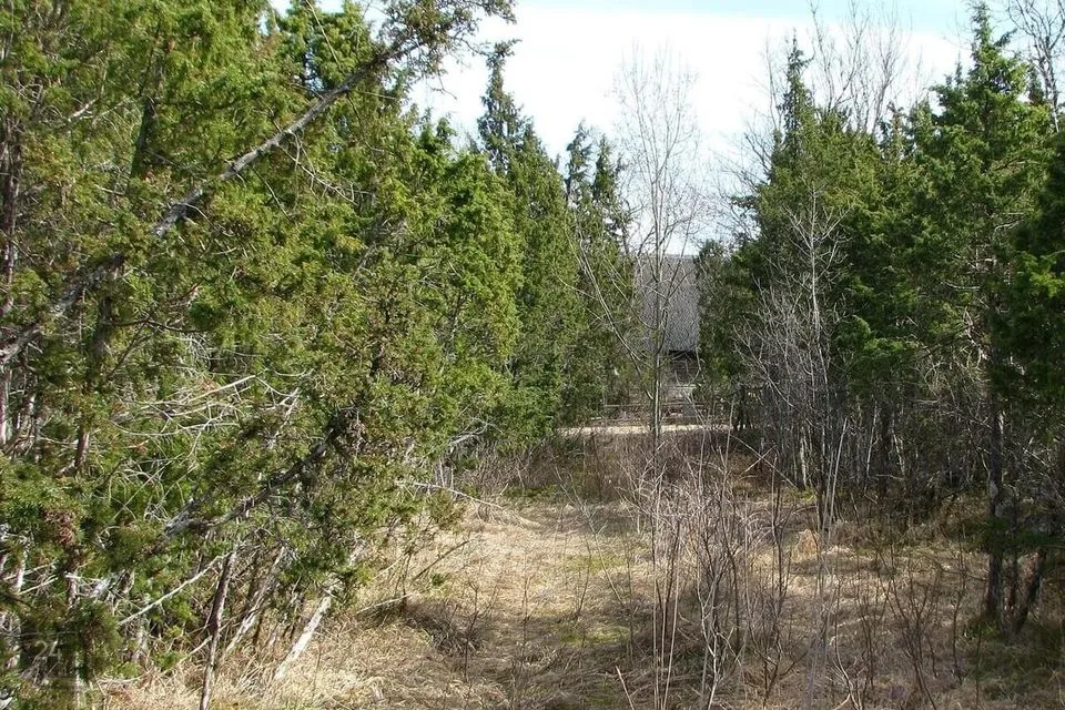 10258 m² Maa  -  Lääneranna vald, Virtsu alevik - foto 4