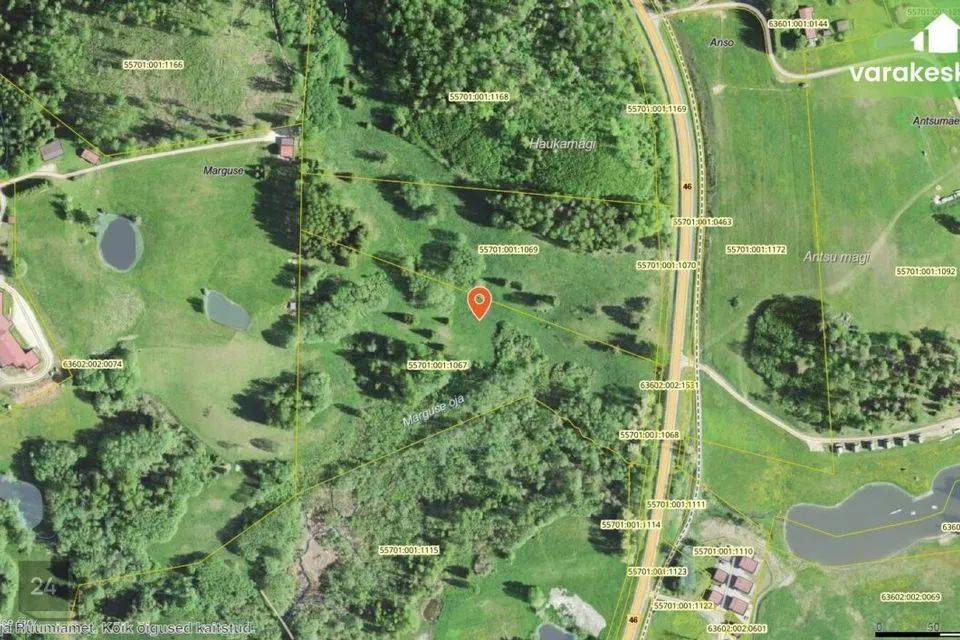 Maatulundusmaa, 54425 m² Maa  -  Otepää vald, Nüpli küla - foto 2