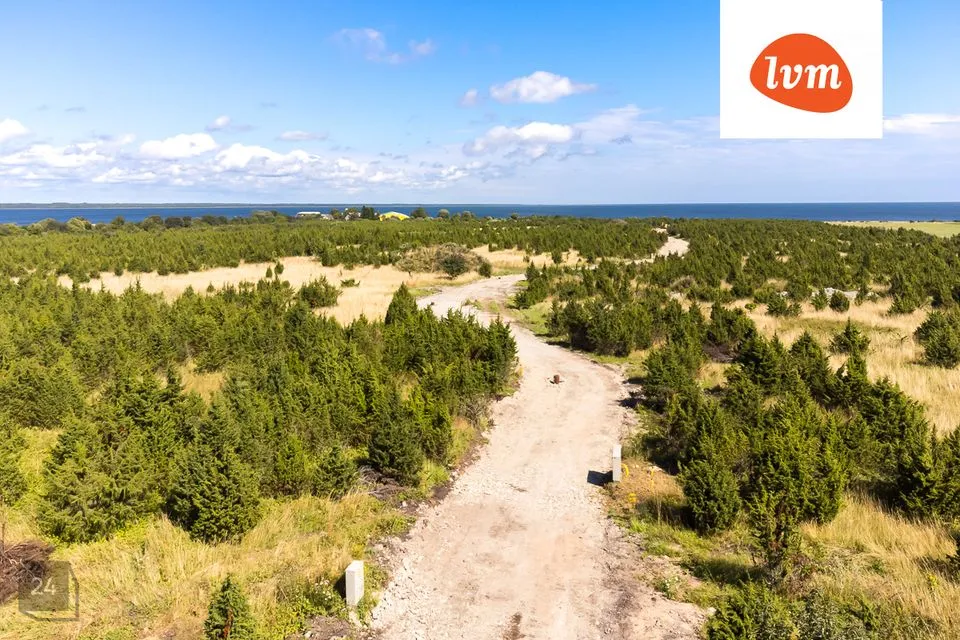 Elamumaa, 5533 m² Maa  -  Saaremaa vald, Suure-Rootsi küla - foto 2