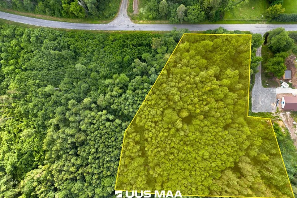 Elamumaa, 10065 m² Maa  -  Kuusalu vald, Salmistu küla - foto 2