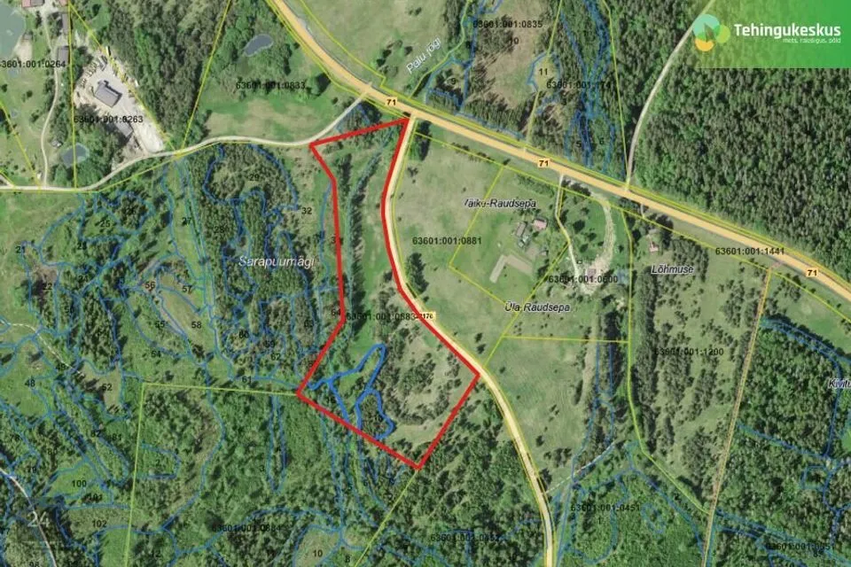 Maatulundusmaa, 53800 m² Maa  -  Otepää vald, Mägestiku küla - foto 2