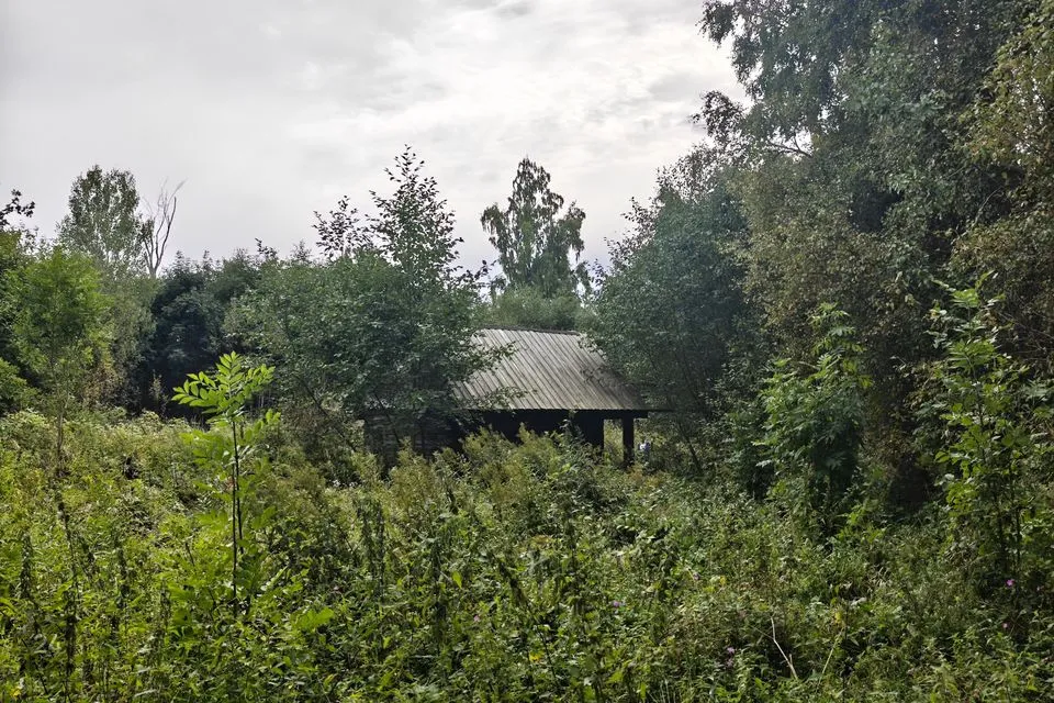 Maatulundusmaa, 50068 m² Maa - Lääneranna vald, Tuudi küla - foto 4