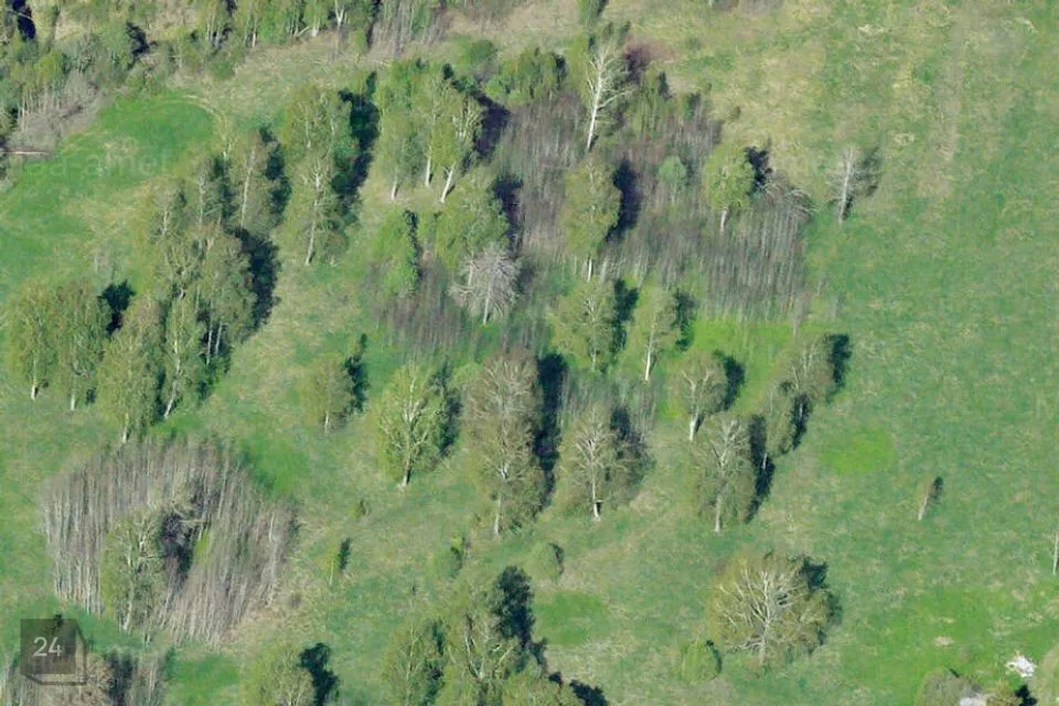 Maatulundusmaa, 58470 m² Maa  -  Jõgeva vald, Vaimastvere küla - foto 5