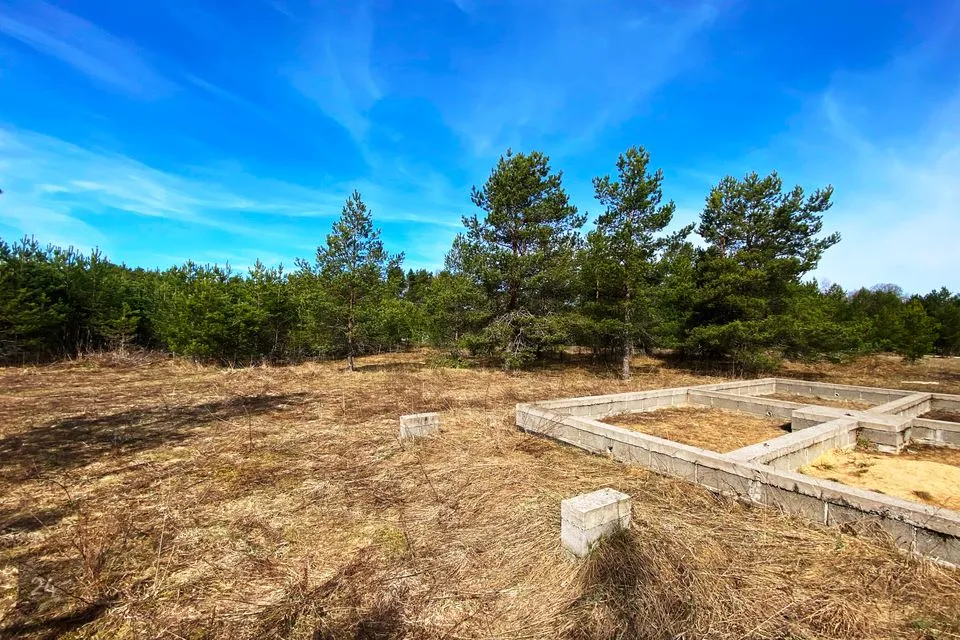 Земля жилой застройки, 1640 m² участок в Alutaguse vald, Kuru küla - фото 4