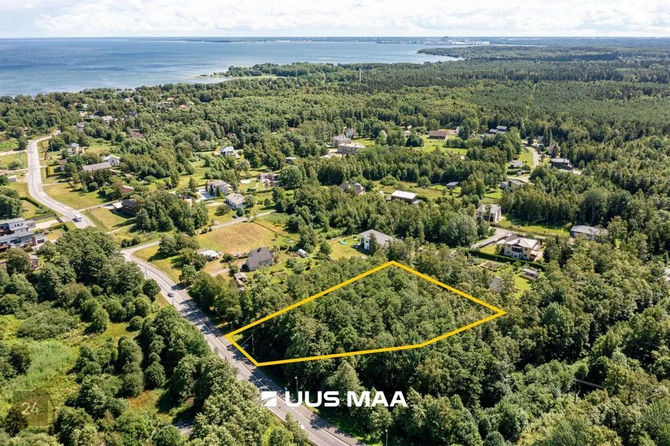 Elamumaa, 3255 m² Maa  -  Viimsi vald, Leppneeme küla - foto 3