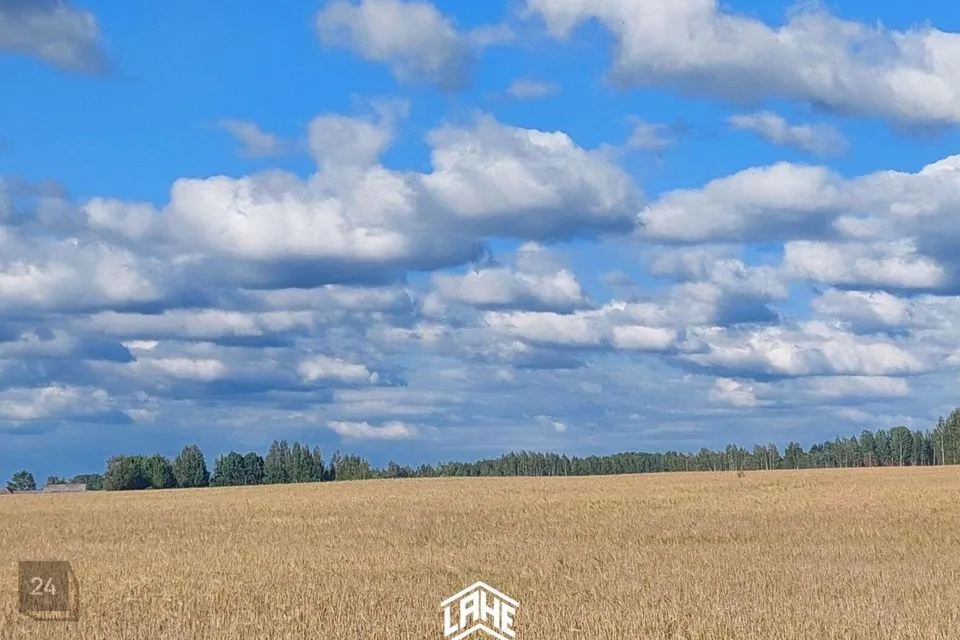 Maatulundusmaa, 4230 m² Maa - Setomaa vald, Ermakova küla