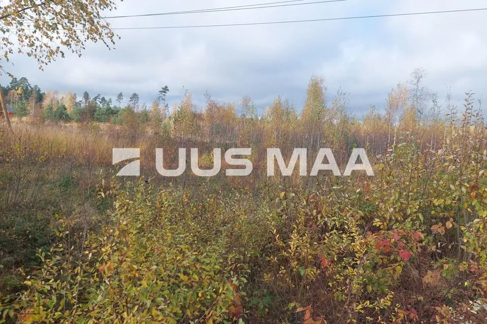 Elamumaa, 2023 m² Maa  -  Alutaguse vald, Kuru küla - foto 2