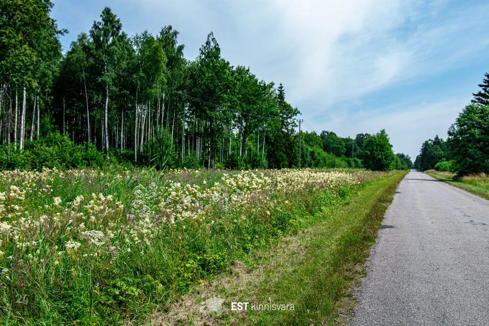 Maatulundusmaa, 10157 m² Maa - Lääneranna vald, Rädi küla