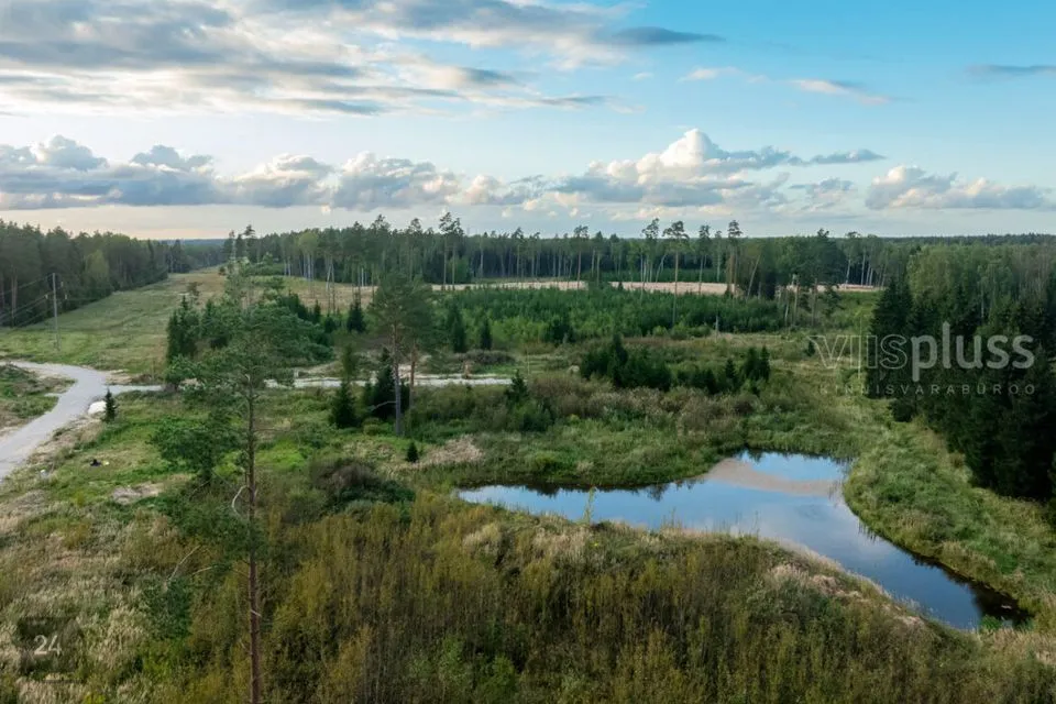 Земля жилой застройки, 3778 m² участок в Kastre vald, Kurepalu küla - фото 5