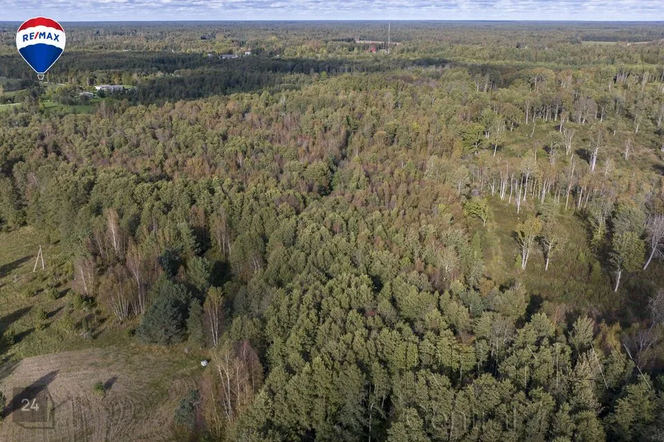 Maatulundusmaa, 16899 m² Maa  -  Hiiumaa vald, Leisu küla - foto 4