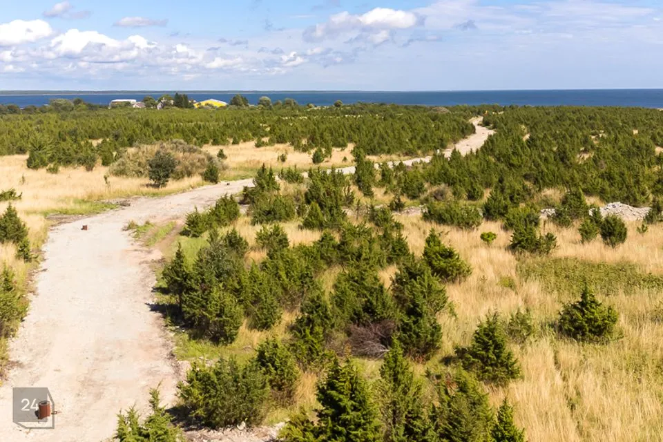 Elamumaa, 5533 m² Maa  -  Saaremaa vald, Suure-Rootsi küla - foto 4