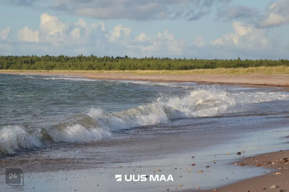 Земля жилой застройки, 14363 m² участок в Saaremaa vald, Vilsandi küla - фото 3
