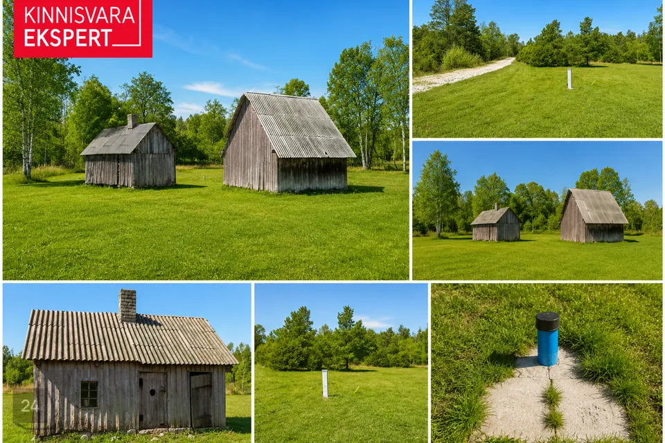 Размещение/расселение, 0 m² Бизнес-площадь в Hiiumaa vald, Rootsi küla - фото 4