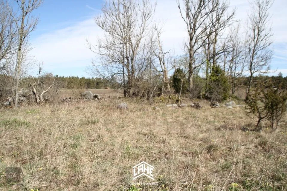 Elamumaa, 5536 m² Maa  -  Lääne-Nigula vald, Ingküla - foto 2