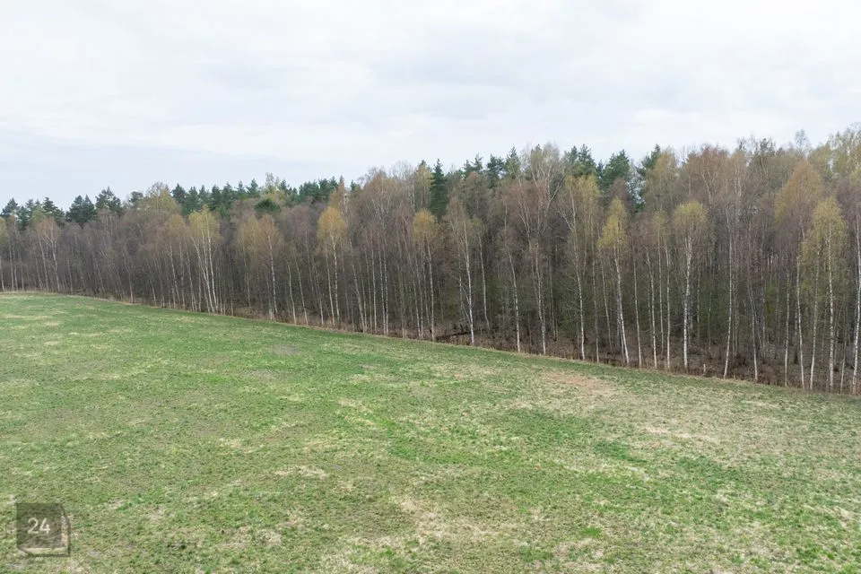 Elamumaa, 6151 m² Maa  -  Haapsalu linn, Vilkla küla - foto 4