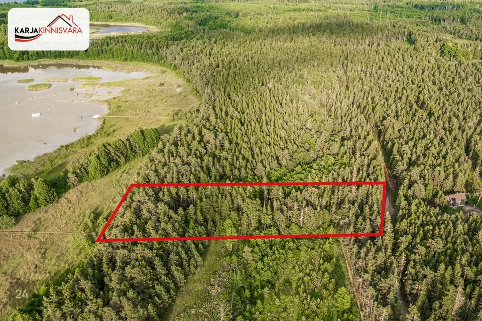 Maatulundusmaa, 7007 m² Maa  -  Lääne-Harju vald, Alliklepa küla