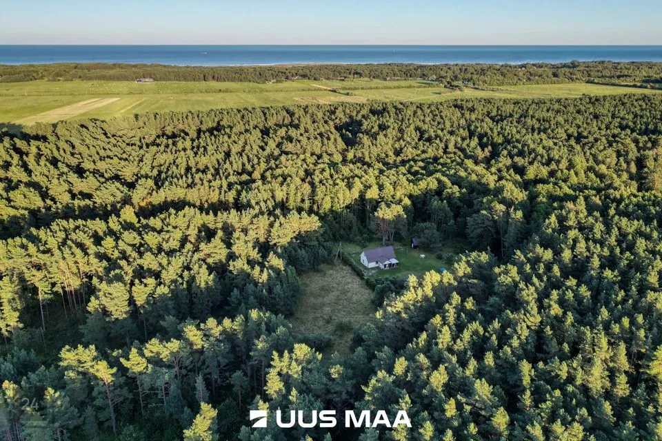 Maatulundusmaa, 3069 m² Maa  -  Kihnu vald, Linaküla - foto 3