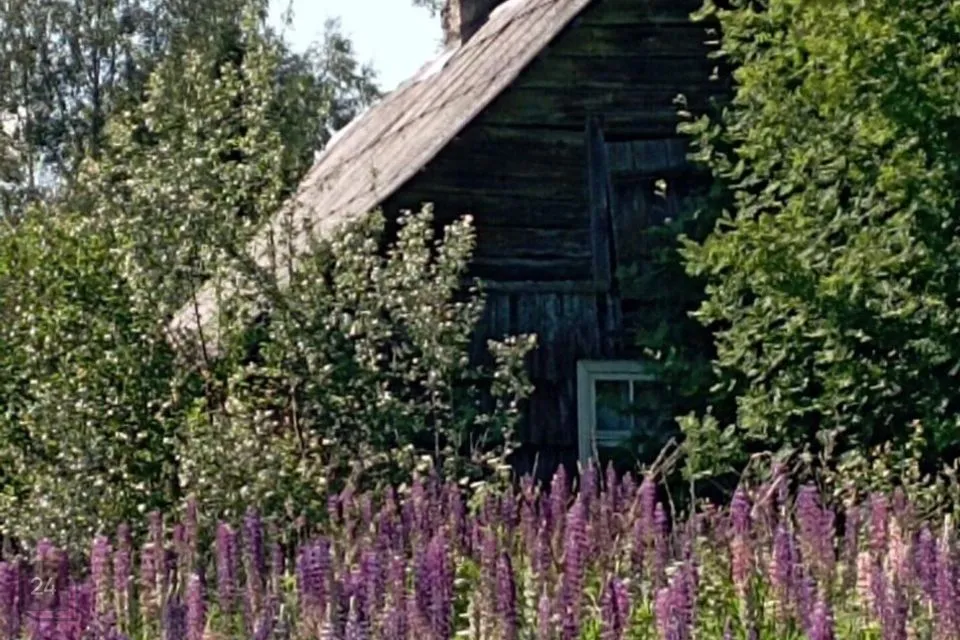 2-toaline Maja  -  Rõuge vald, Söödi küla - foto 2