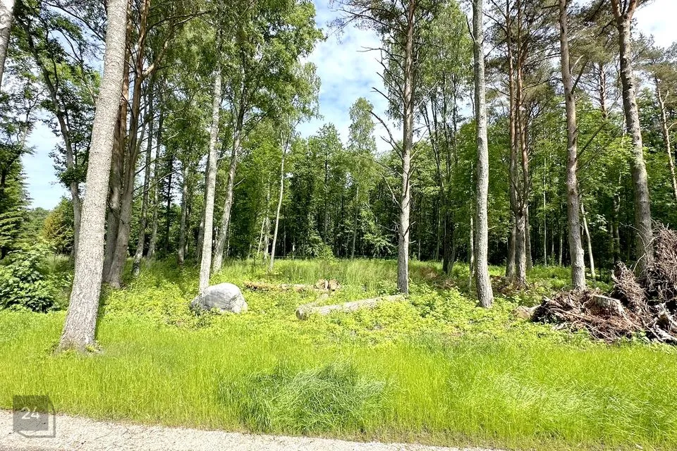 Elamumaa, 1330 m² Maa - Viimsi vald, Randvere küla - foto 3