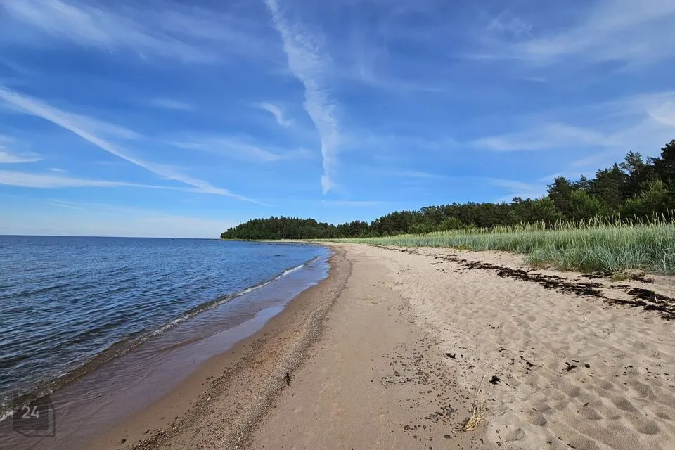 6-комнатная дом в Haljala vald, Lobi küla