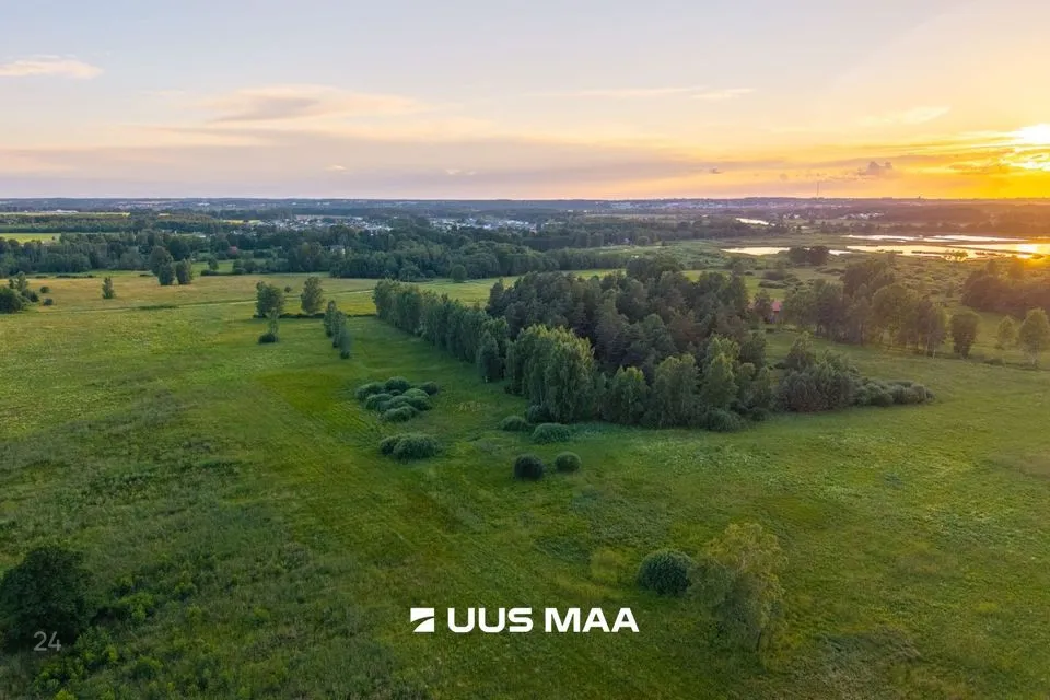Maatulundusmaa, 120780 m² Maa  -  Kastre vald, Haaslava küla - foto 4