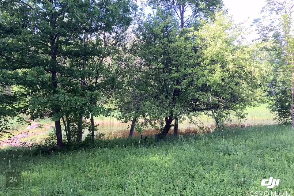 Elamumaa, 1603 m² Maa  -  Märjamaa vald, Velise küla - foto 4