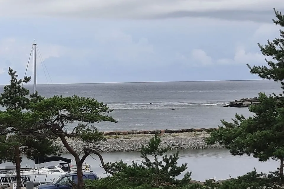 Elamumaa, 2503 m² Maa - Hiiumaa vald, Kalana küla - foto 4