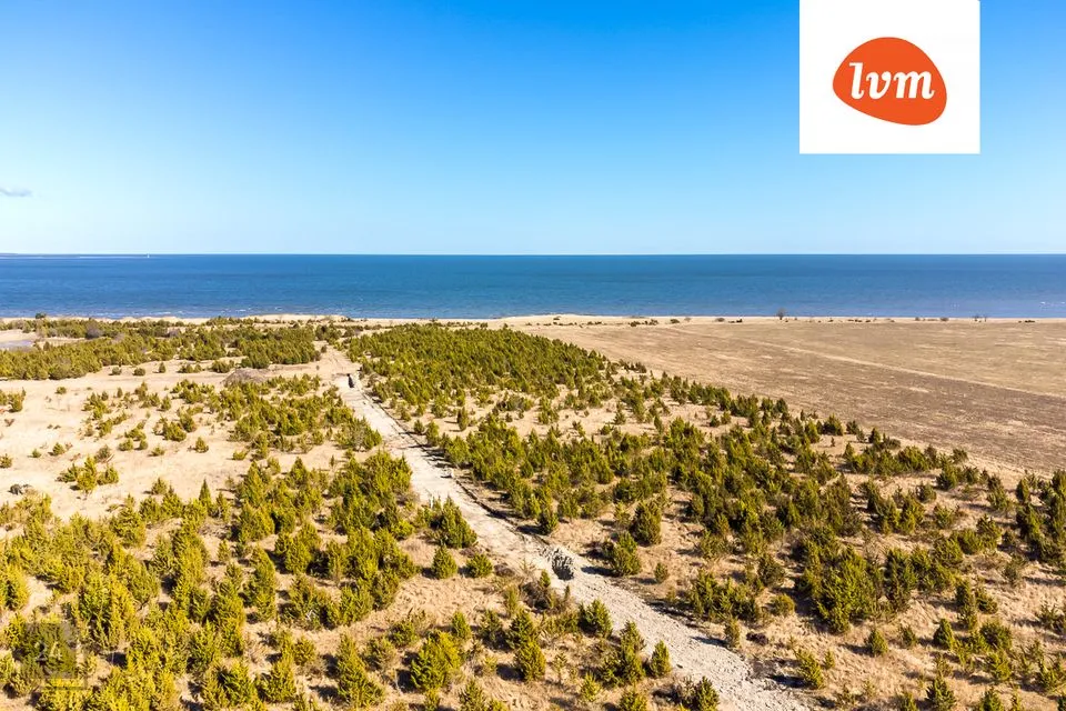 Земля жилой застройки, 5944 m² участок в Saaremaa vald, Suure-Rootsi küla - фото 3