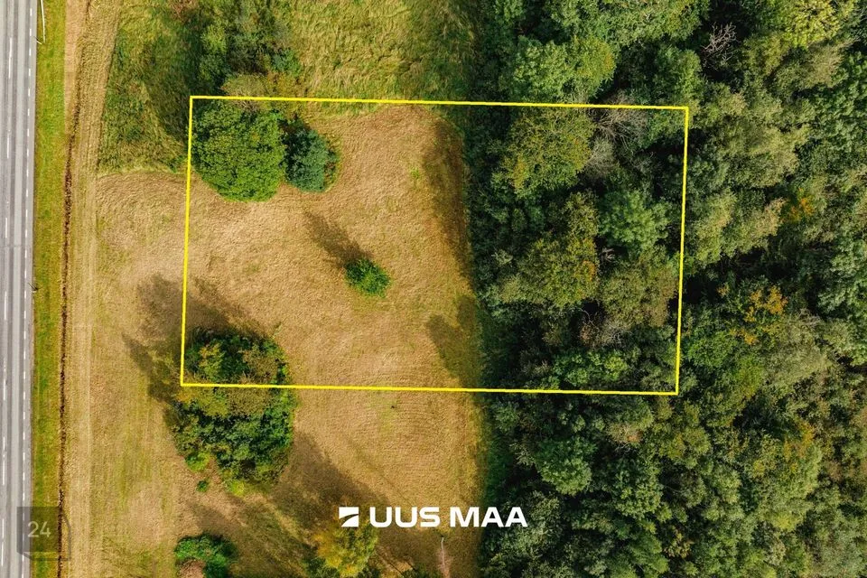 Elamumaa, 4288 m² Maa  -  Viljandi vald, Peetrimõisa küla - foto 3