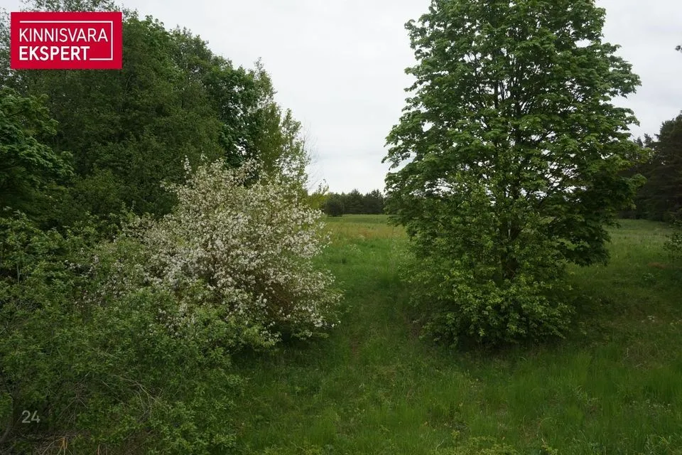 Maatulundusmaa, 45700 m² Maa - Lääneranna vald, Paadrema küla - foto 4