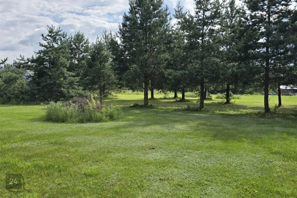 Maatulundusmaa, 2451 m² Maa - Kastre vald, Kurepalu küla - foto 2